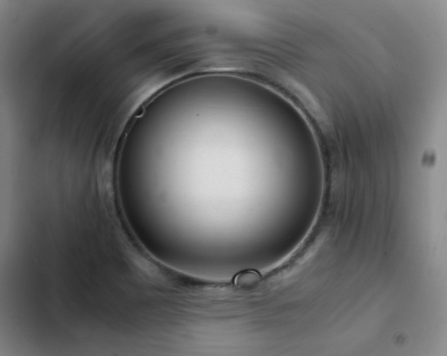 X0000103311465200808291417
