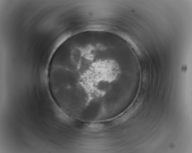 X0000103311466200808291417