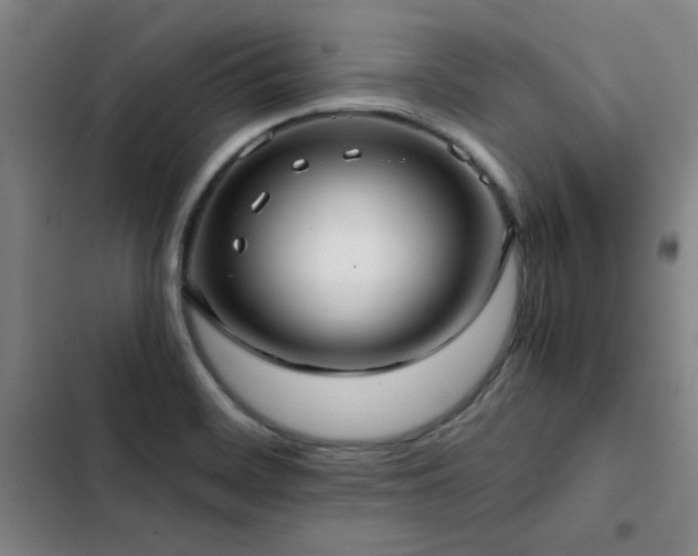 X0000103311468200808291417