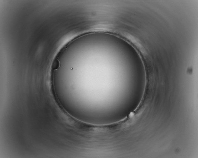 X0000103311469200808291417