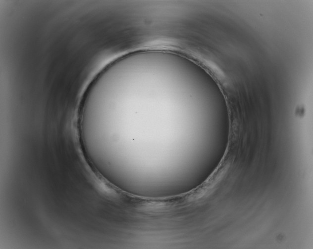 X0000103311470200808291417