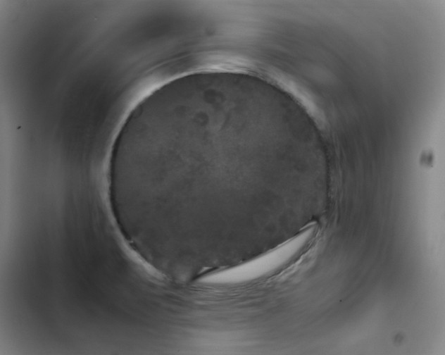 X0000103311471200808291417
