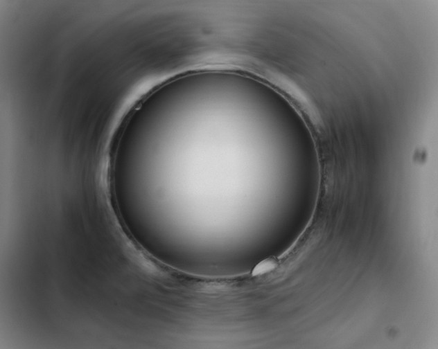 X0000103311472200808291417