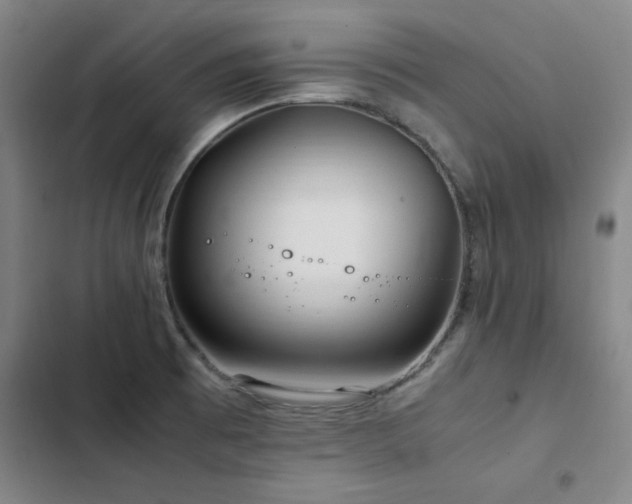 X0000103311473200808291417