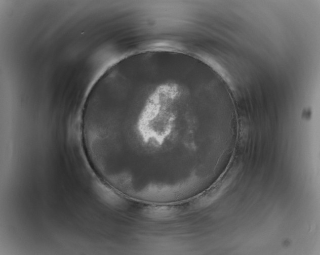 X0000103311474200808291417