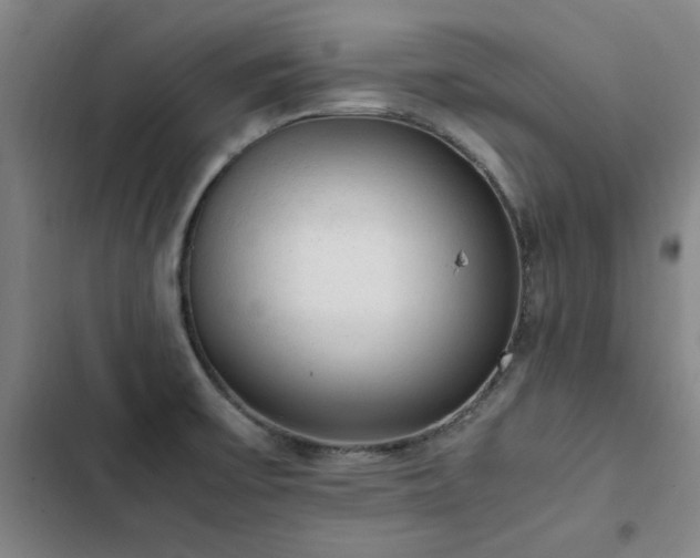 X0000103311475200808291417