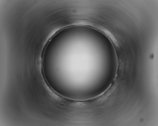 X0000103311476200808291417