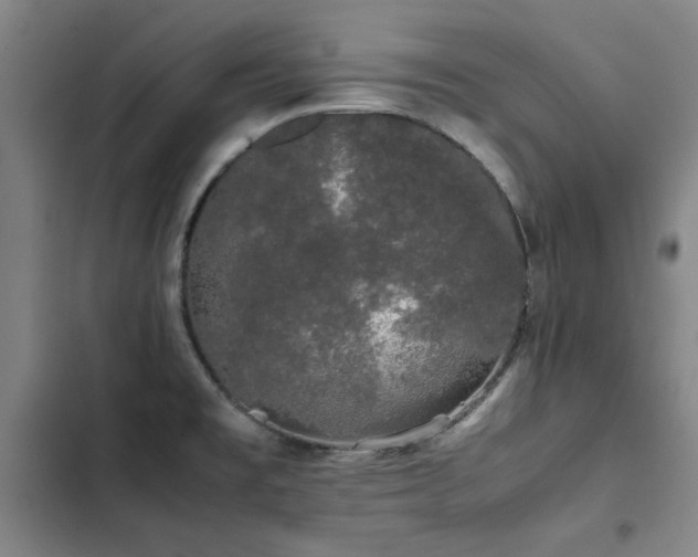 X0000103311477200808291417