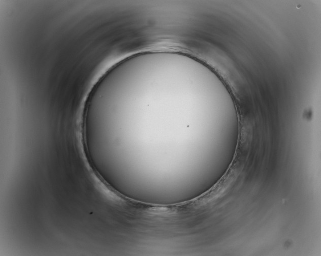 X0000103311478200808291417