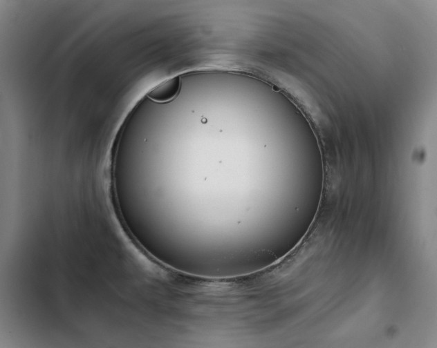 X0000103311479200808291417