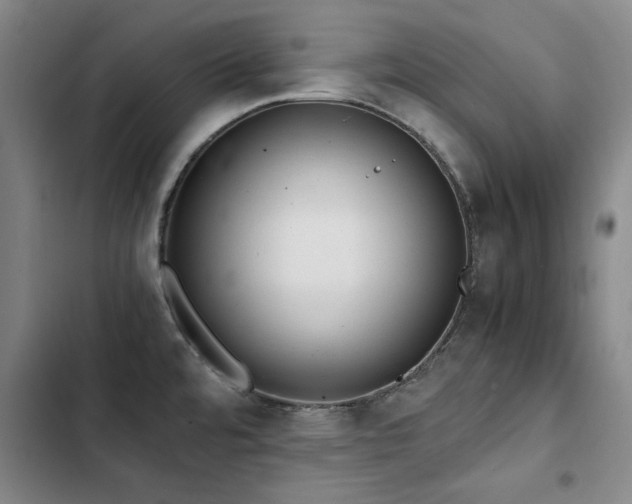 X0000103311480200808291417