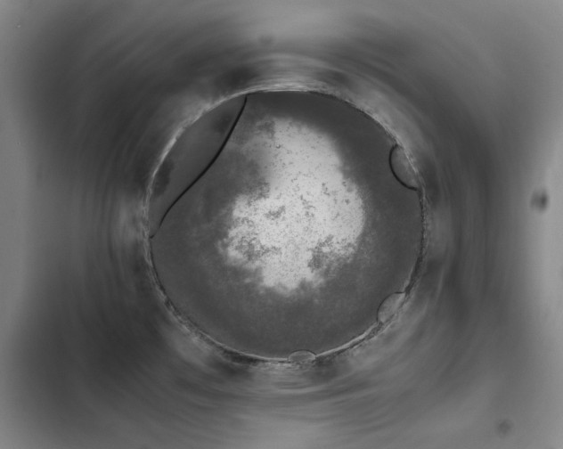 X0000103311481200808291417