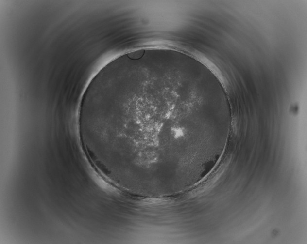 X0000103311482200808291417