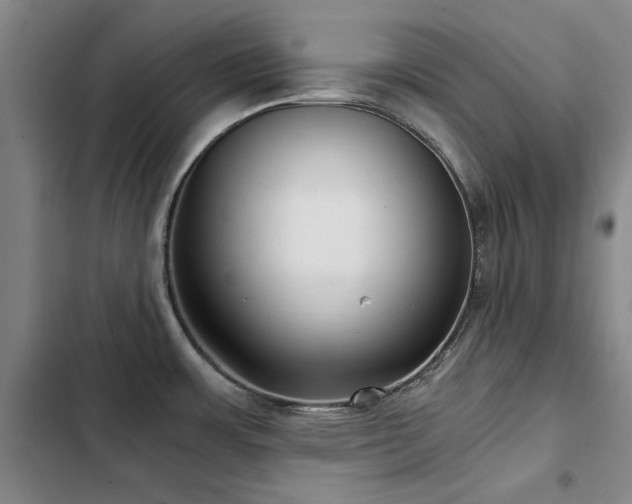 X0000103311483200808291417