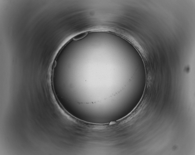 X0000103311484200808291417