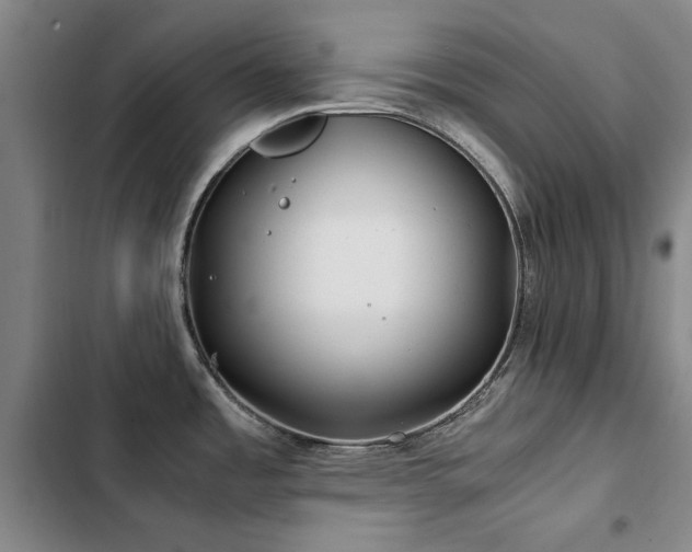 X0000103311485200808291417