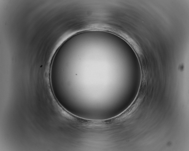 X0000103311486200808291417