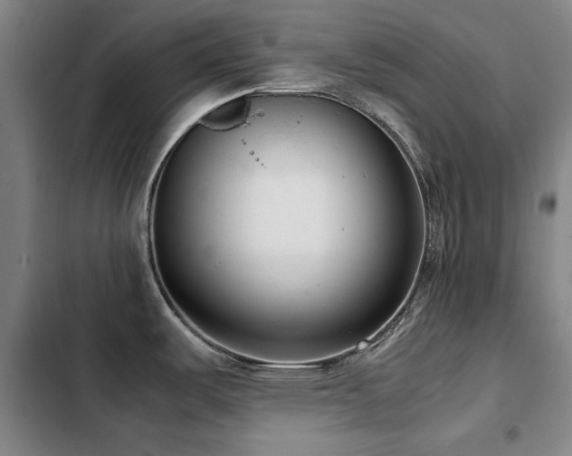 X0000103311487200808291417