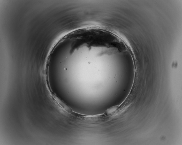 X0000103311488200808291417