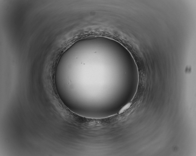 X0000103311489200808291416