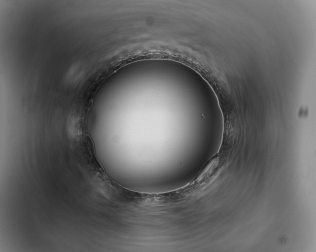 X0000103311490200808291416