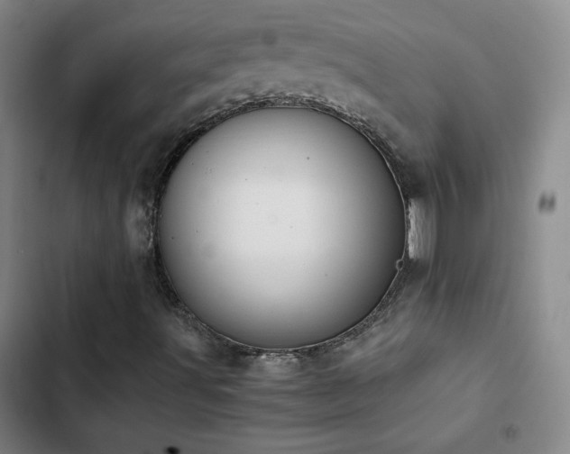 X0000103311491200808291416
