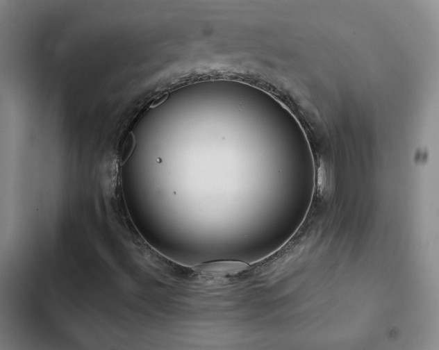 X0000103311492200808291416