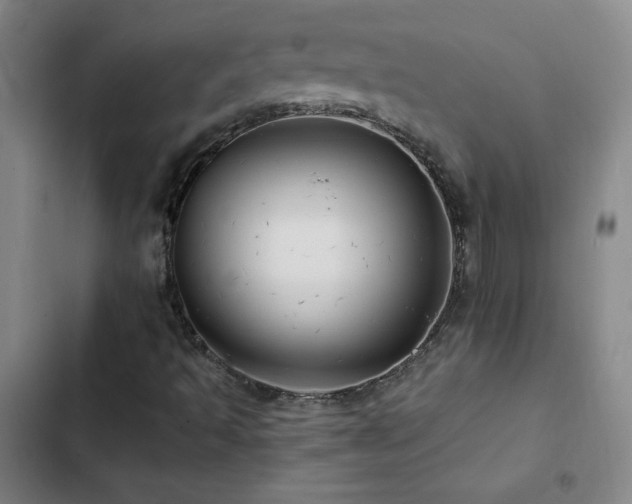 X0000103311493200808291416
