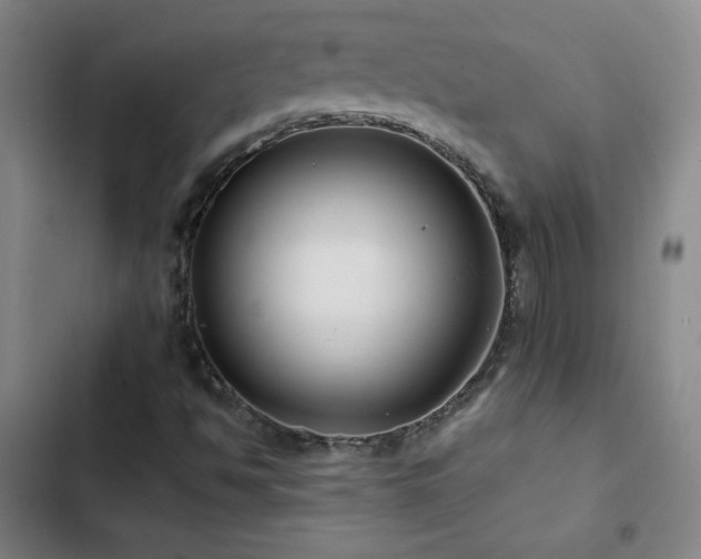 X0000103311494200808291416