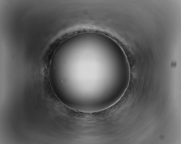 X0000103311495200808291416