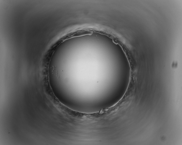X0000103311496200808291416