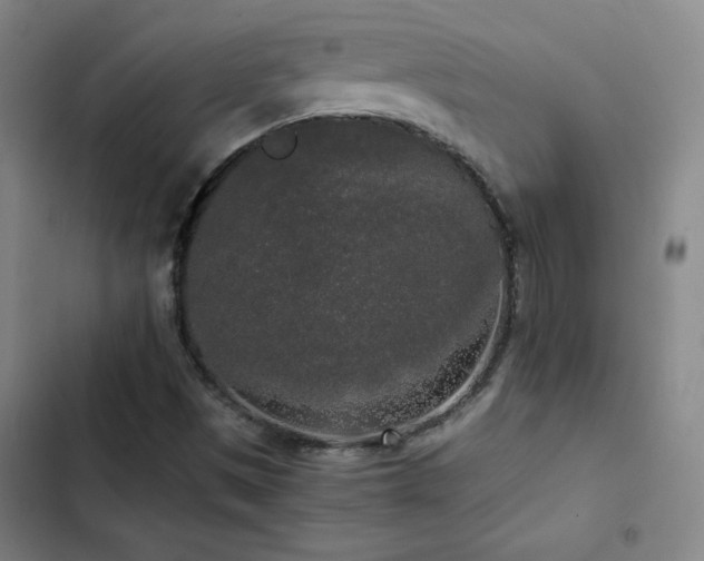 X0000103311497200808291416