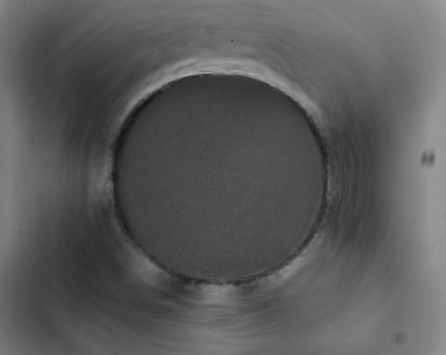 X0000103311498200808291416