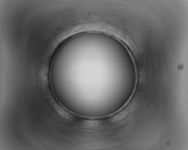 X0000103311499200808291416