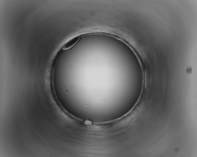 X0000103311500200808291416