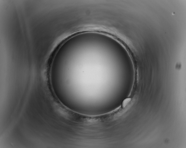 X0000103311501200808291416