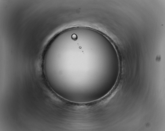 X0000103311502200808291416