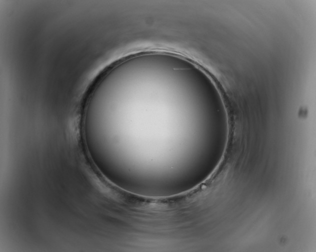 X0000103311503200808291417