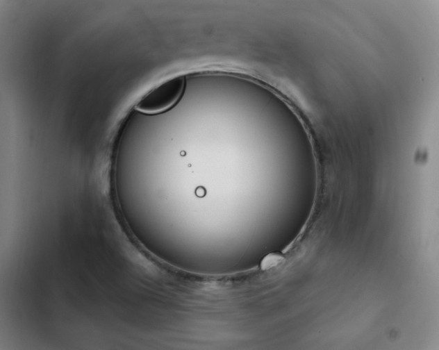 X0000103311504200808291417