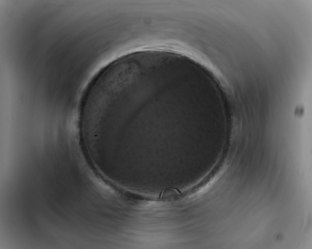 X0000103311506200808291417