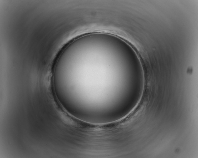 X0000103311507200808291417