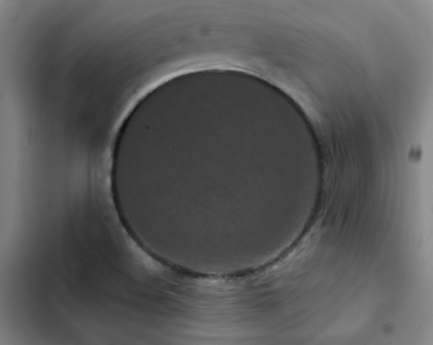 X0000103311508200808291417