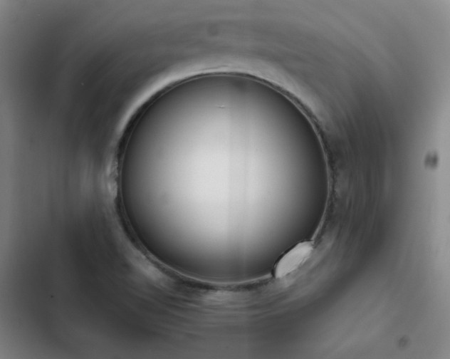 X0000103311510200808291417