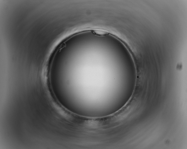 X0000103311511200808291417