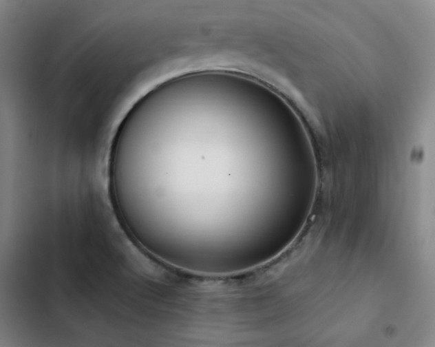 X0000103311512200808291417