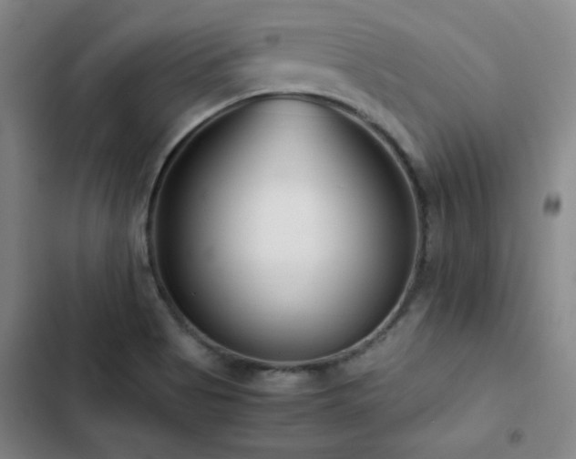 X0000103311513200808291417