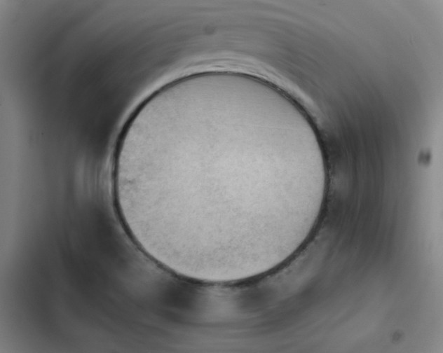 X0000103311514200808291417