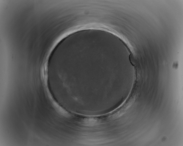X0000103311515200808291417