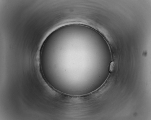 X0000103311516200808291417