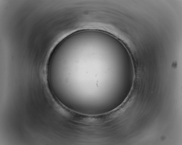 X0000103311517200808291417